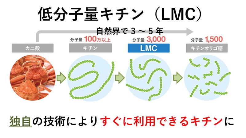 【新規出展】カニ殻由来のバイオスティミュラント素材【焼津水産化学工業】