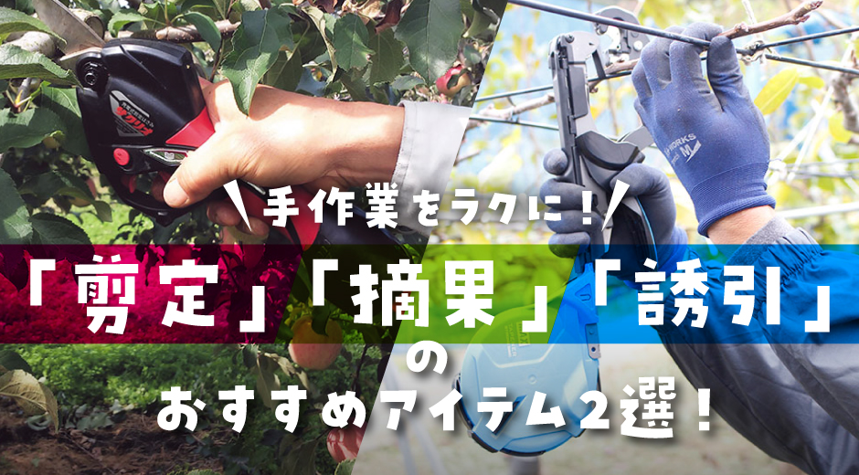 整枝剪定、摘花摘果、誘引の作業負担を減らすために
