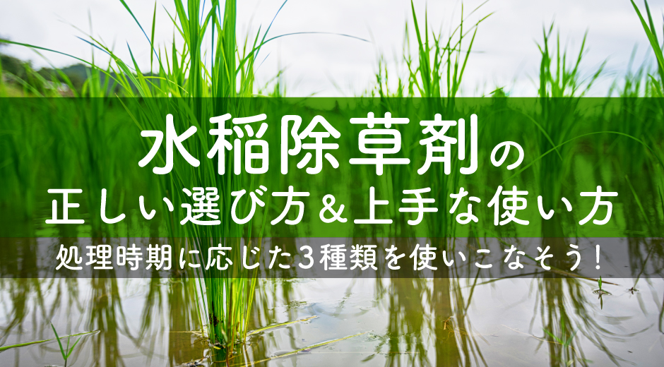 水稲除草剤の正しい選び方・上手な使い方