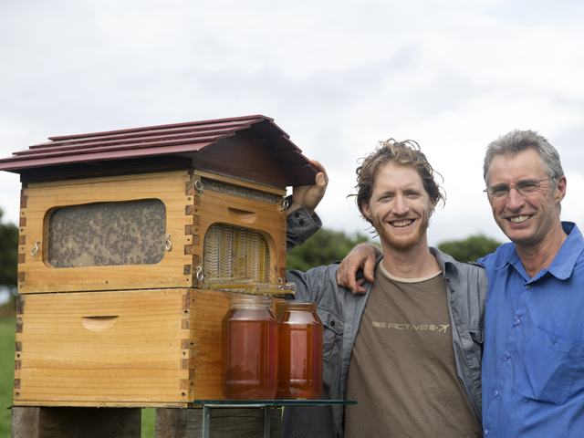 ハチミツ採取に劇的な革命を起こした巣箱って Agri Journal
