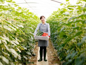 畑では誰もが活躍できる！ 「農業のダイバーシティ化」への期待