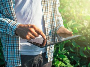 スマート農業を、「儲かる」農業にするには？