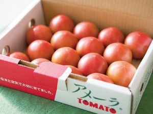 値段が10倍!?　人気ブランドトマトに求められるもの