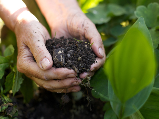 成功する農業 有機肥料と化成肥料の基本とやり方を徹底解説 Agri Journal