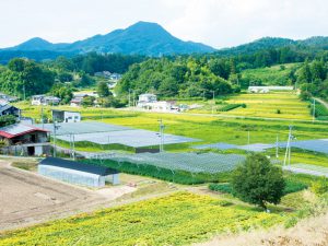 ソーラーシェアリング導入で兼業農家から専業農家へ