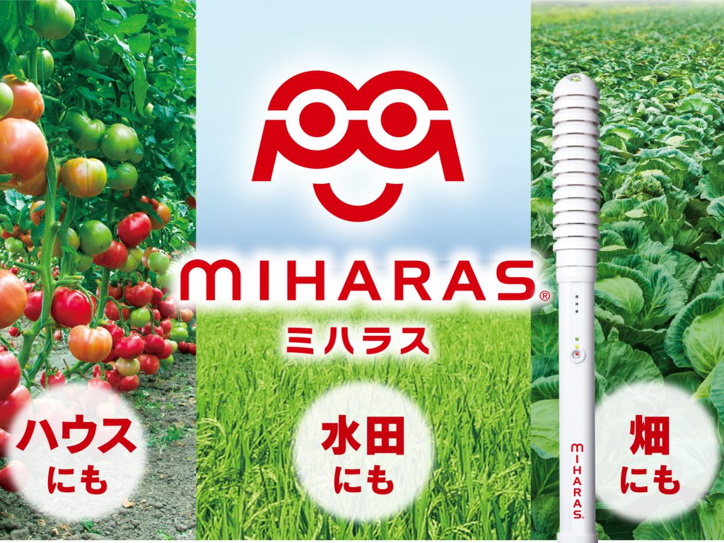 イラストみんなの農業教室 4 水稲の増収技術 送料無料 イラストみんなの農業教室 4 水稲の増収技術 送料無料 本