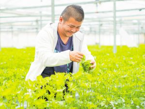 冷暖房費を抑え、斑点病も克服させる施設園芸用ヒートポンプ