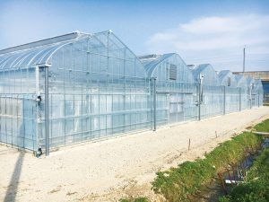 ＜インタビュー＞農業用ハウスに革新をもたらす、異業種からの参入