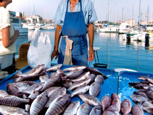 安くておいしい魚が買ってもらえない!? 現代漁業が抱える問題