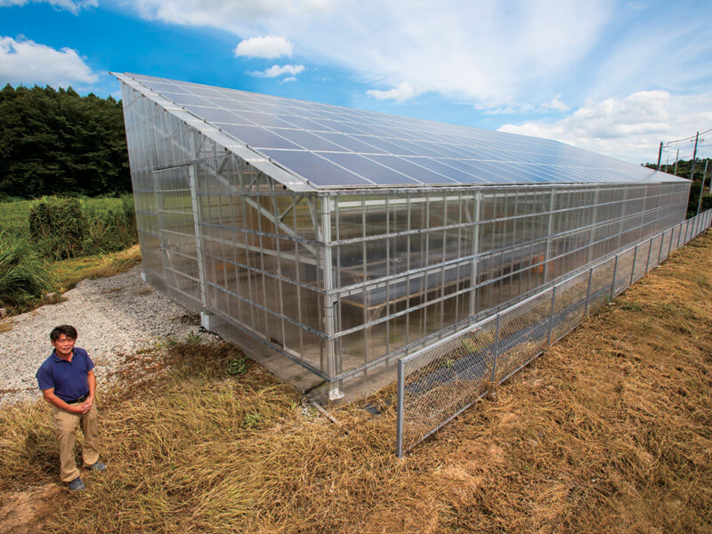 高機能農業用ハウス がっちりhouse5 とは ソーラー発電設備付きなのに安く建てられる Agri Journal