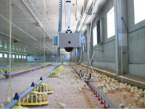 これぞ“スマート畜産” スペイン発、世界初の鶏舎向けモニタリングロボットって？