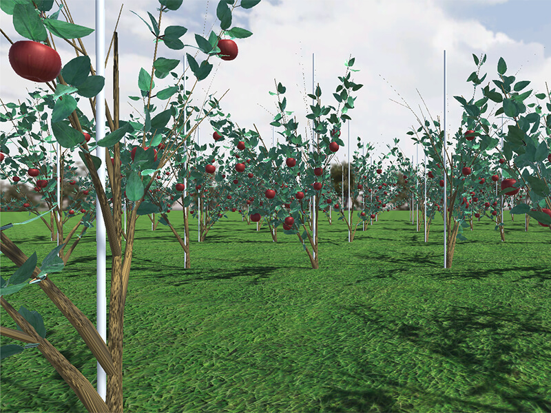 農業ロボット開発の後押しになるのか 仮想空間の農業シュミレーションが本格化 摘果 収穫 効率 低コスト Agri Journal