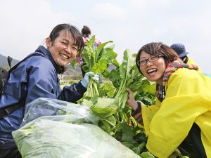 伝統野菜を用いた商品開発で農林水産大臣賞受賞！ 熊本県4Hクラブ会長が描く今後のビジョン