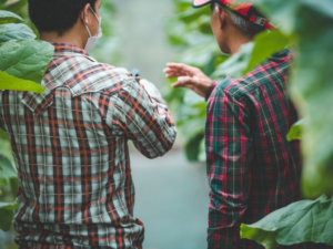 農業者が行うべき新型コロナウイルス対策とは？ 感染者が出る前に支援体制の構築を