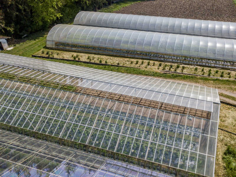 トマト農家必見 施設園芸の中規模から大規模へのステップアップをサポート 大型ハウス利用で高収量 安定生産を実現 Agri Journal