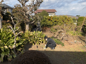 農地の草刈り・樹木伐採・整地を代行！ 都市部農家に向け関東エリアにてサービス開始