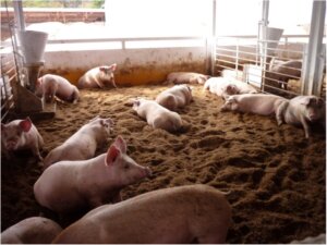 畜産経営の臭気対策に新たな視点　臭気対策は「技術」と「近隣住民との関係構築」がカギ