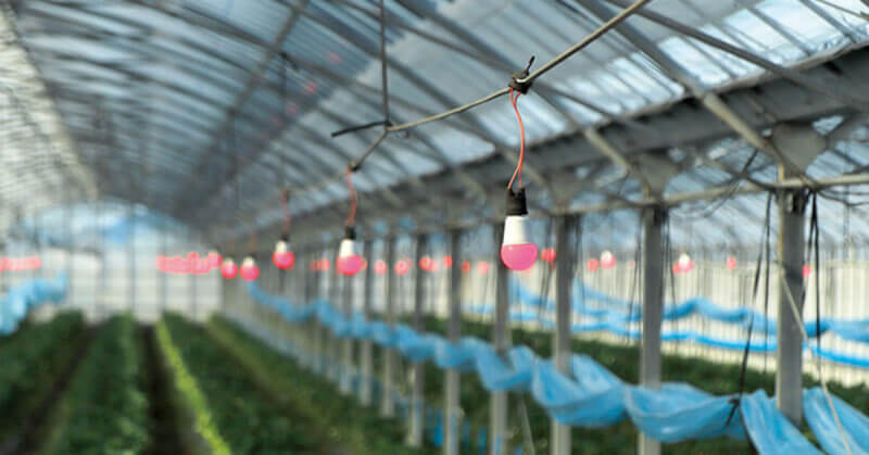 167beecc66a54ab0ef3703d646e03c