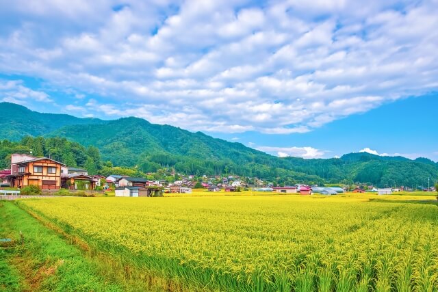田舎の風景の画像