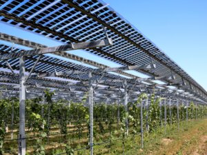 営農型太陽光発電