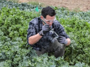 遺伝子を特定し、植物の生育予測が可能に！ 農業分野の生産性向上を目指すGoogleXのプロジェクト