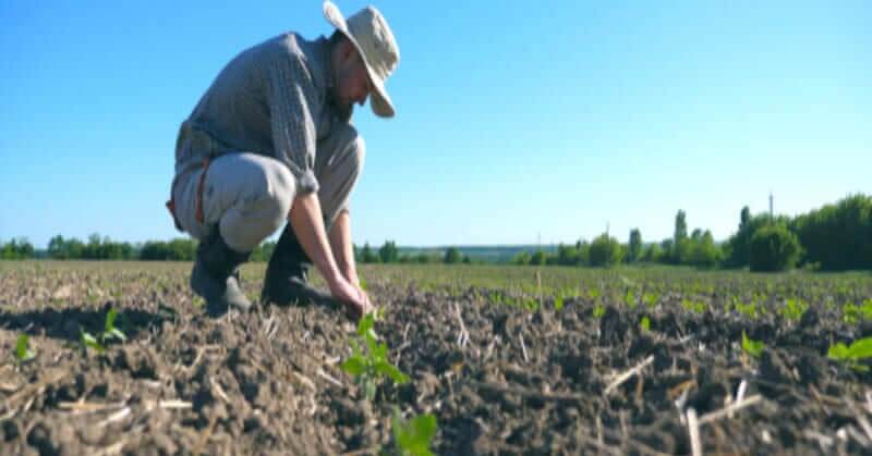 若手農業従事者の約9割が「働き方に影響した」と回答 農作業と熱中症
