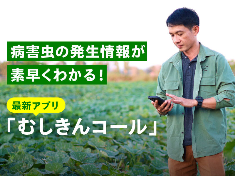 病害虫発生情報アプリが新登場！ 発生情報を素早く入手・共有で適切な防除をサポート