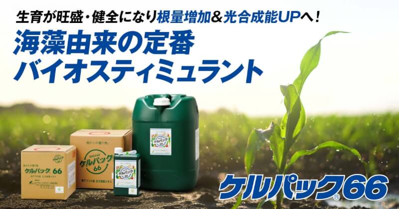 有機JAS適合】世界80ヶ国で普及する“巨大海藻”由来の定番バイオスティ