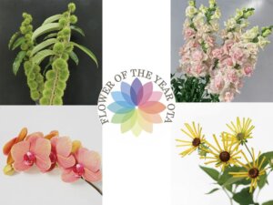 2025年「今年の花」決定！フラワー・オブ・ザ・イヤーOTA 2025