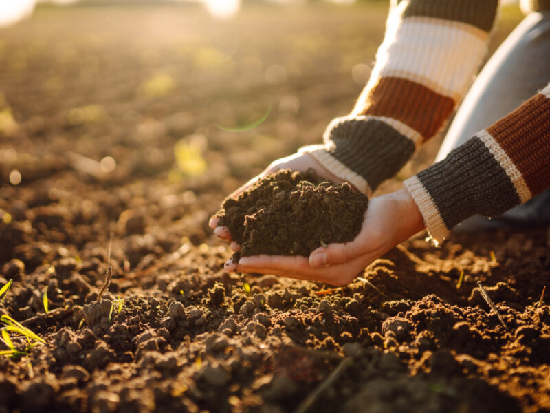 【生産者様限定】バイオスティミュラント資材に関するアンケート調査を実施中！ 先着で50名様にAmazonギフト券をプレゼント