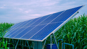 農水省、望ましい営農型太陽光発電の最終案を提示 「発電主導」から「営農主導」へ