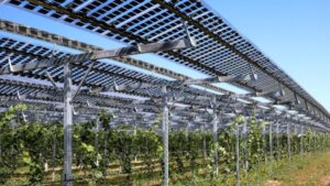 ソーラーシェアリング推進連盟がパブリックコメントを実施　「遮光率30％未満」などの再検討を要望