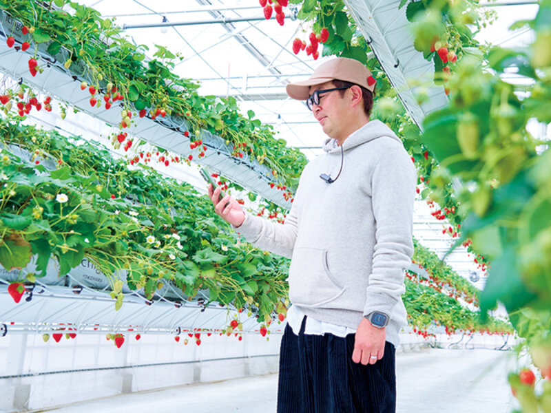 中～大規模ハウスで大活躍する複合環境制御「ふくごう君Ⅲ」にハウスリモコン機能が追加！