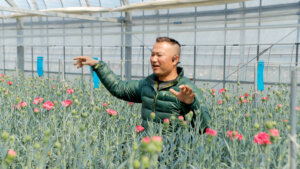 農薬ありきの常識を覆す。カーネーション栽培の未来を拓く「土壌環境」の再構築