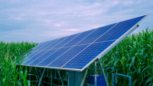 営農型太陽光の制度見直し案を了承、市町村特例で柔軟な導入を支援