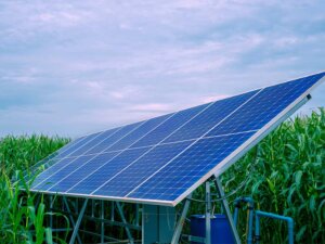 営農型太陽光の制度見直し案を了承、市町村特例で柔軟な導入を支援