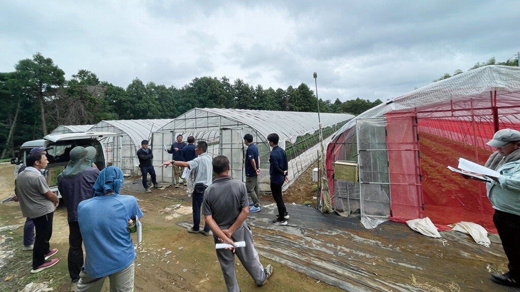 多品目栽培で薬剤抵抗性が高まる。野菜王国 茨城県鉾田市のIPM実証をリポート