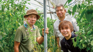 害虫ゼロを“目指さない”発想の転換。土着天敵の徹底利用、JAそお鹿児島におけるピーマンIPMの取り組みに学ぶ