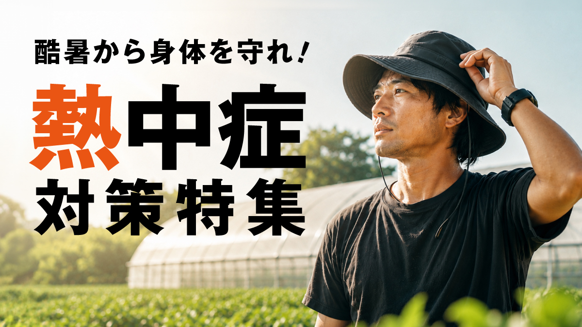 2026年夏特集｜熱中症対策特集
