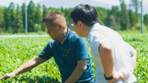 下水汚泥を使いやすい茶用肥料へ　鹿児島で進む「産官学農」連携の資源循環