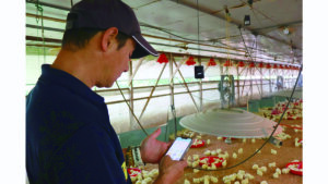 デジタル化で作業時間20%減、出荷量増を実現！ AIと協業し進化する養鶏経営の最前線