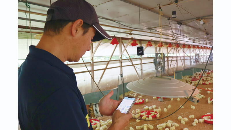 デジタル化で作業時間20%減、出荷量増を実現！ AIと協業し進化する養鶏経営の最前線