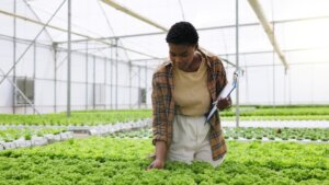 育成就労制度の施行まで半年！ 「在留期間」や「業務区分」など、技能実習制度からの変更点は？